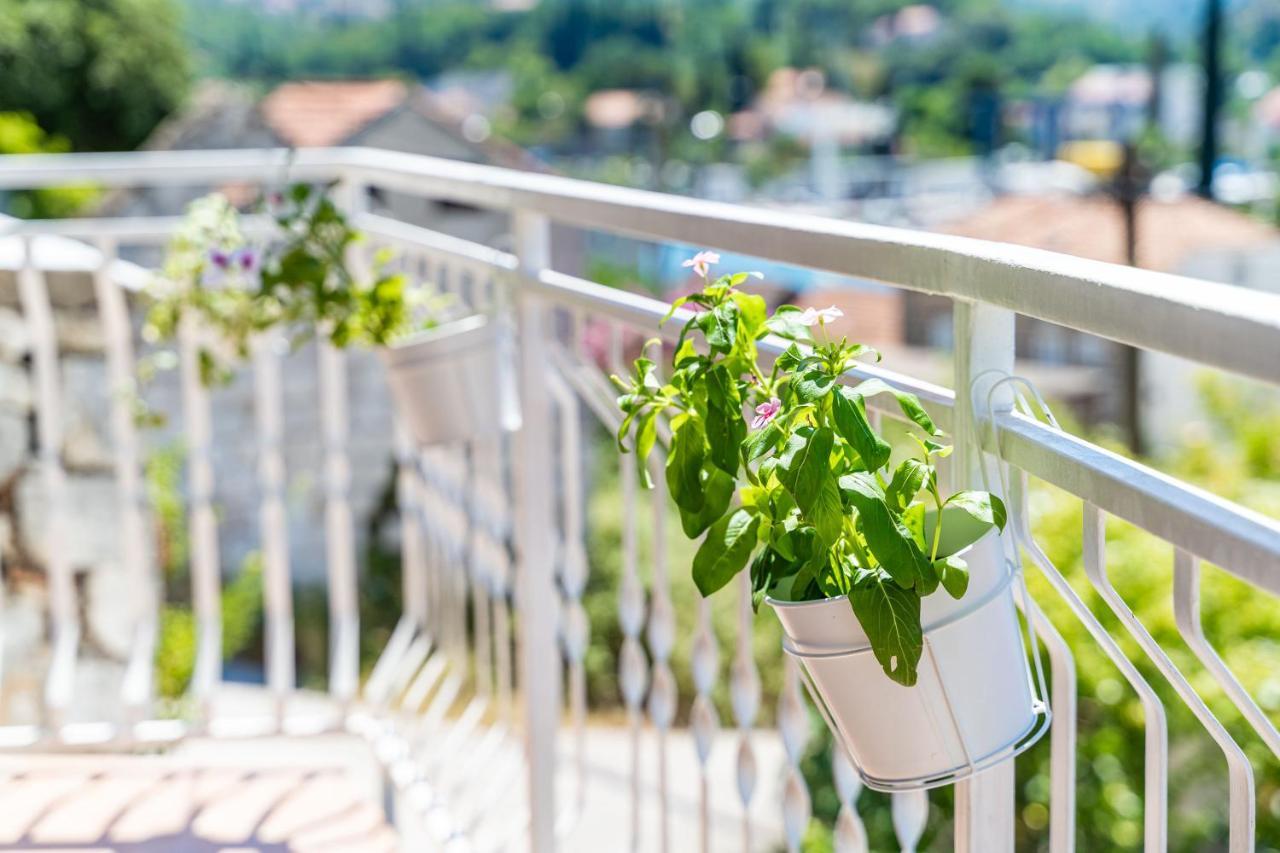 Apartment House Of Artichoke With Amazing Sea View, Dubrovnik โมโกชิซา ภายนอก รูปภาพ