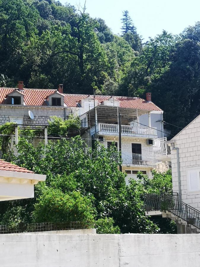Apartment House Of Artichoke With Amazing Sea View, Dubrovnik โมโกชิซา ภายนอก รูปภาพ
